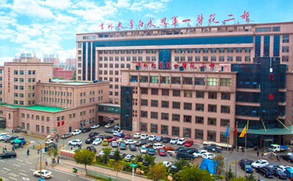 SDD系列動(dòng)態(tài)心電廠家